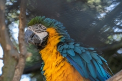 Monte-Verde_0030