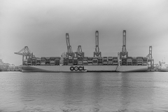 OOCL -Hong Kong- max.21413 containers