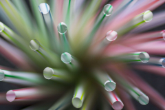 Rietjes